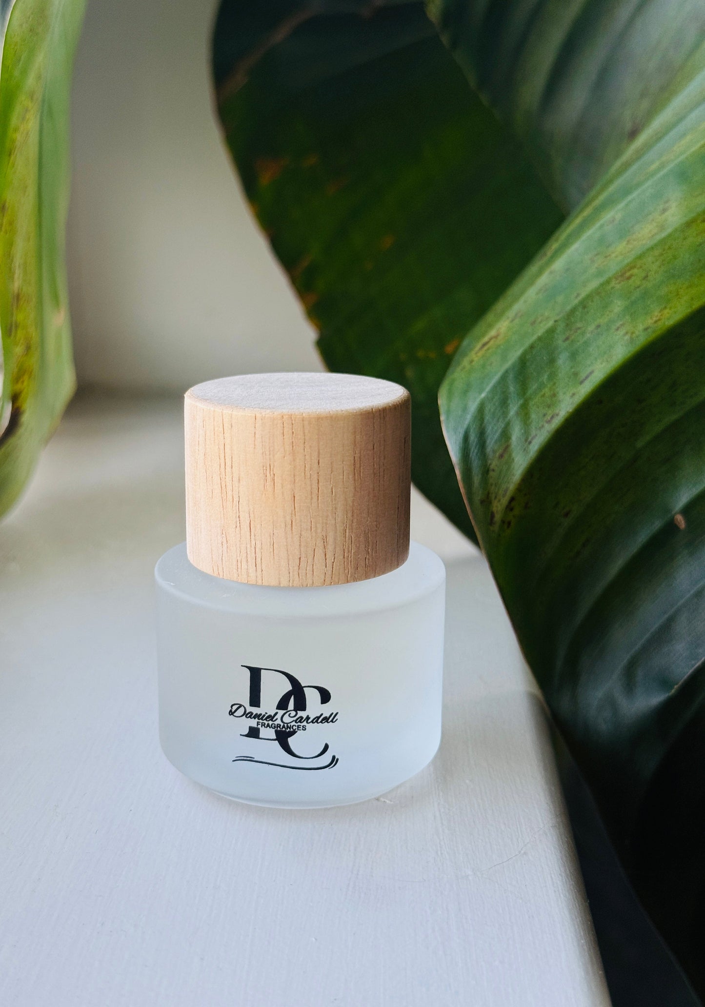 In Your Dreams by Daniel Cardell Fragrances