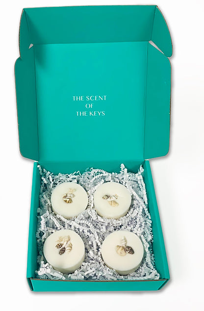 Ocean Surf Wax Melts